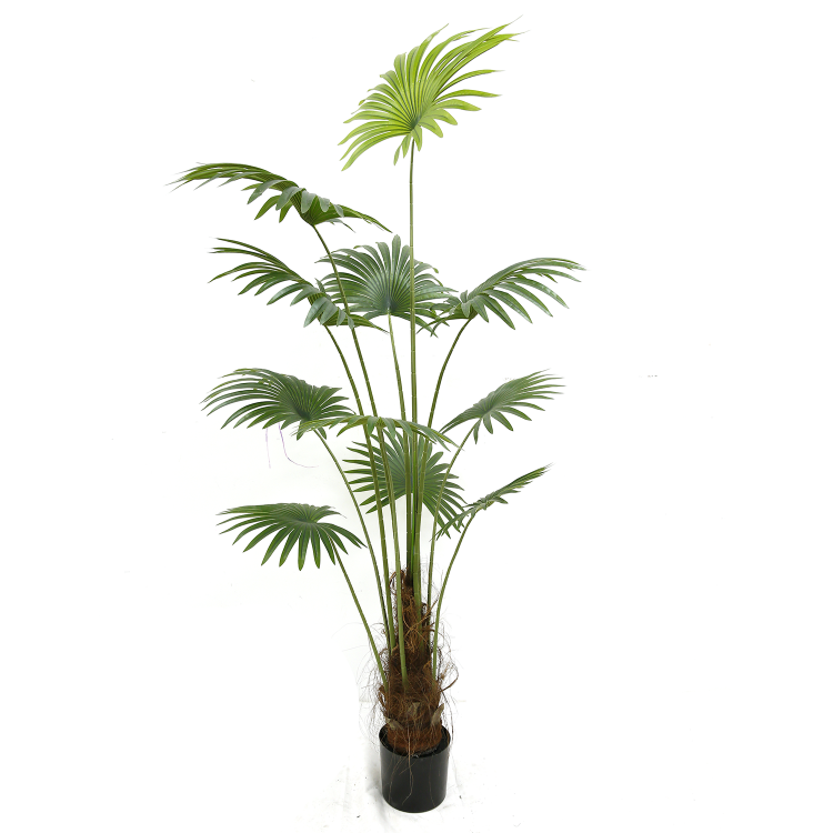 artificial Fan palm tree