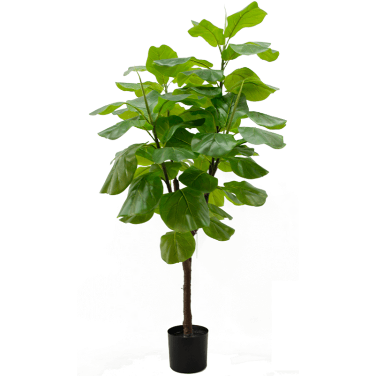 Fake Fiddle Leaf Fig