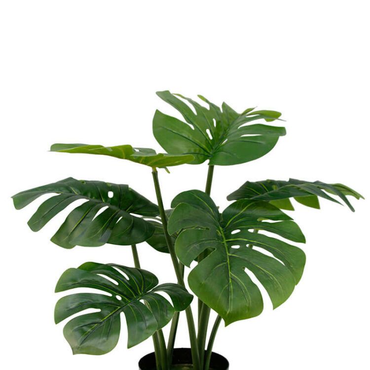 Best Fake Monstera Plant