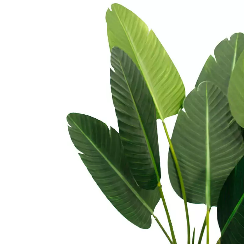 Artificial Banana Leaf Plant