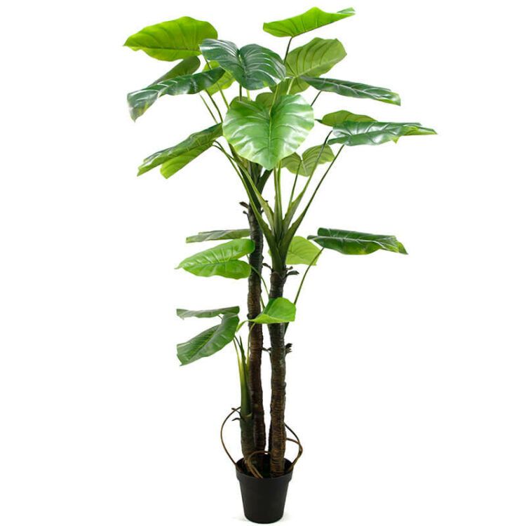 210cm Artificial Taro Plant