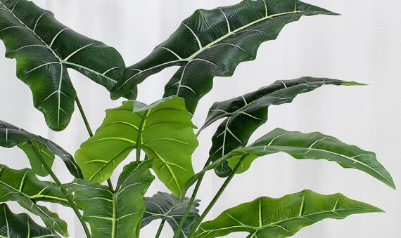 Fake Alocasia Plant