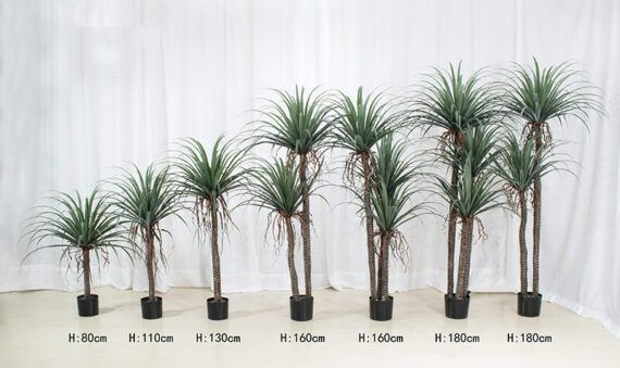 Artificial Dragon Trees