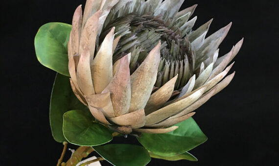 artificial protea flower