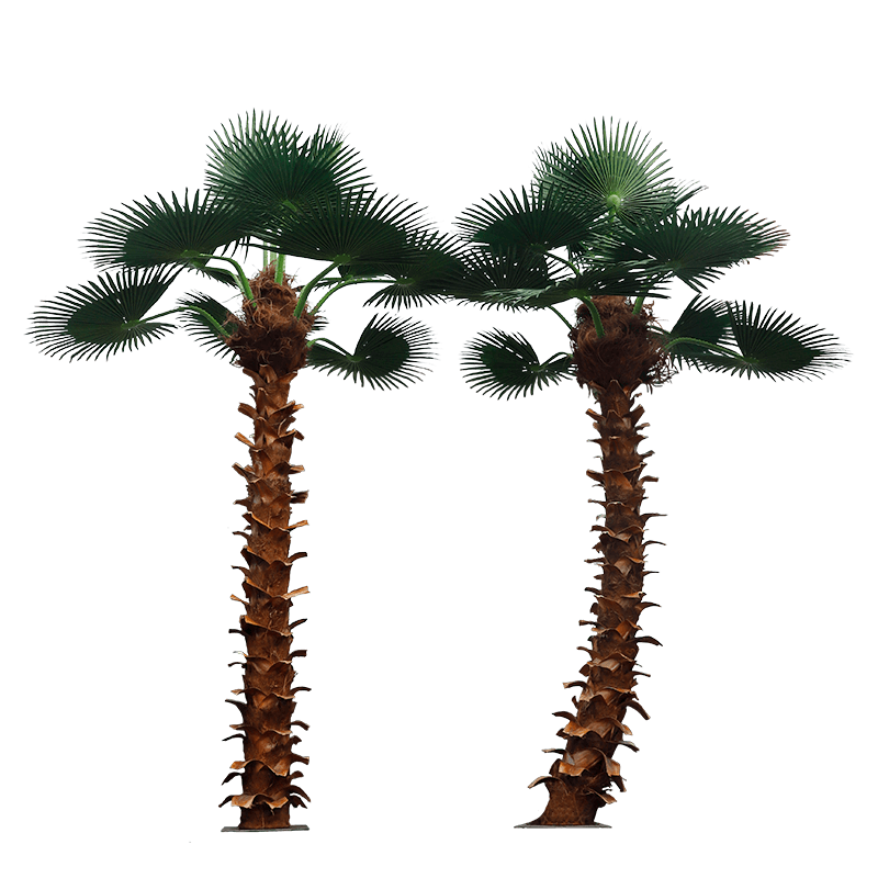 large palm tree