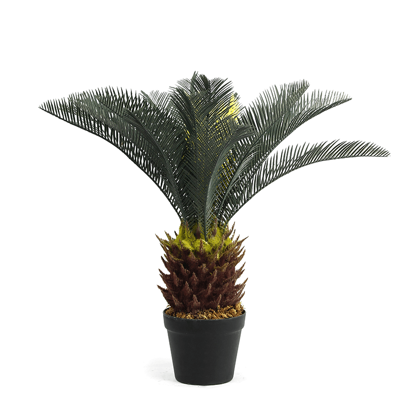 artificial cycas palm tree