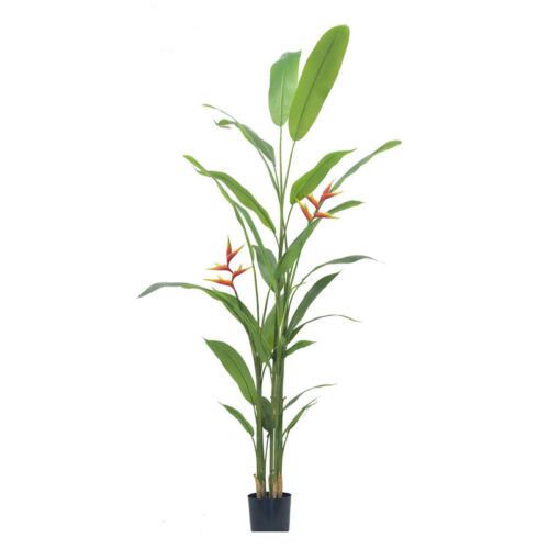 Artificial Birds Of Paradise Plant 120cm 180cm 230cm