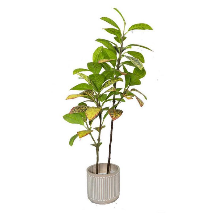 Artificial Croton Tree