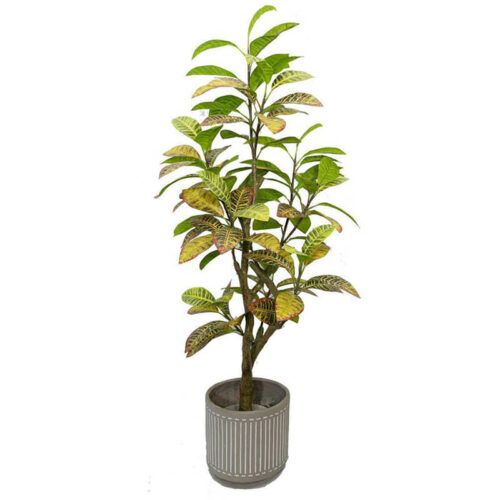 Artificial Croton Tree 100cm 130cm 150cm 180cm