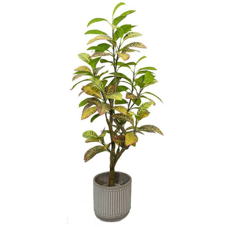 Artificial Croton Tree