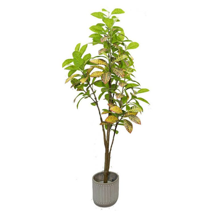 Artificial Croton Tree