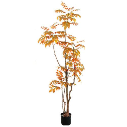 Artificial chinese toon tree 120cm 150cm 180cm