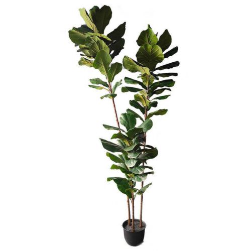 Artificial fiddle leaf fig trees 180cm 300cm 360cm