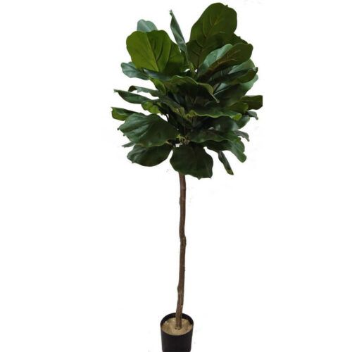 Artificial fiddle leaf fig trees 180cm 300cm 360cm