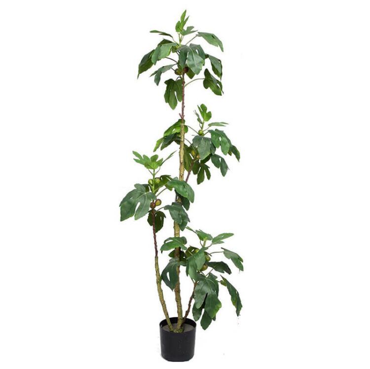 artificial fig tree