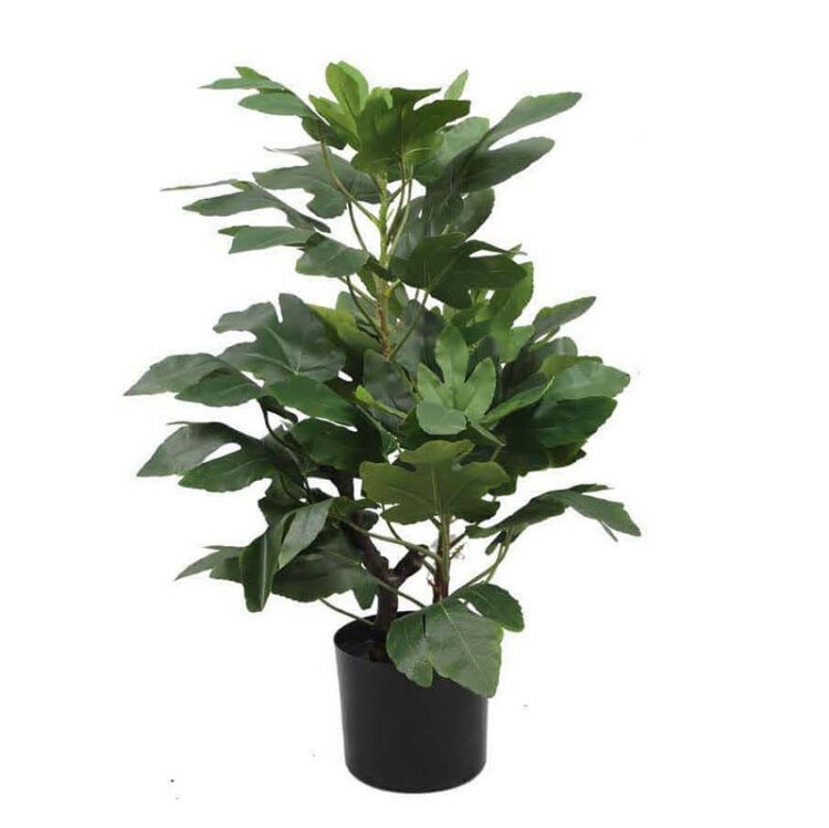 artificial fig tree