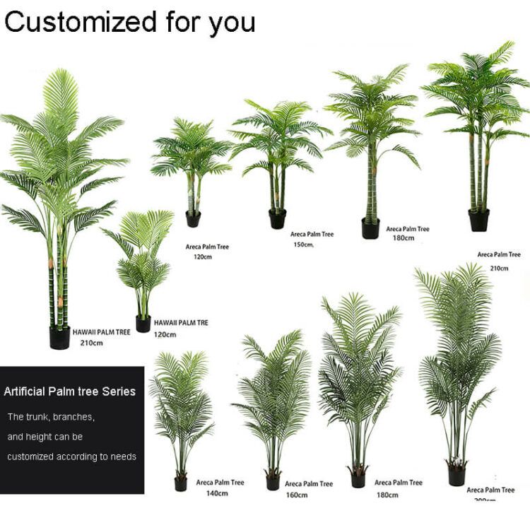 palm catalog