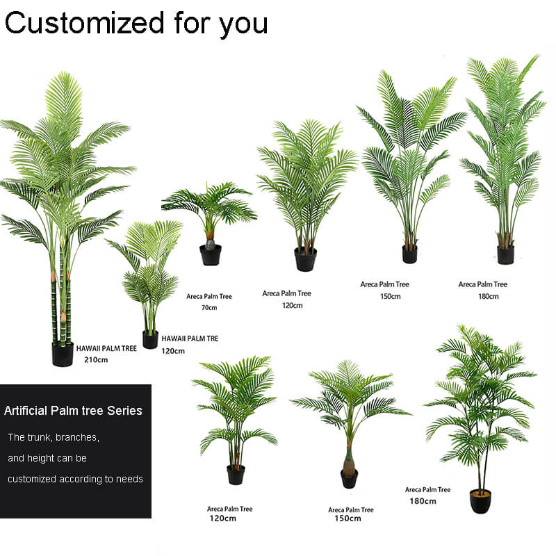 palm catalog